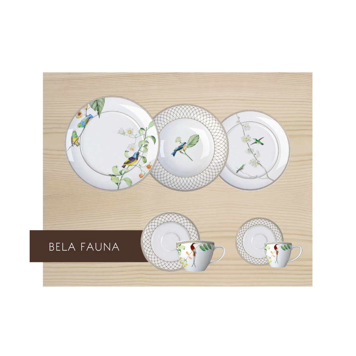BELA FAUNA